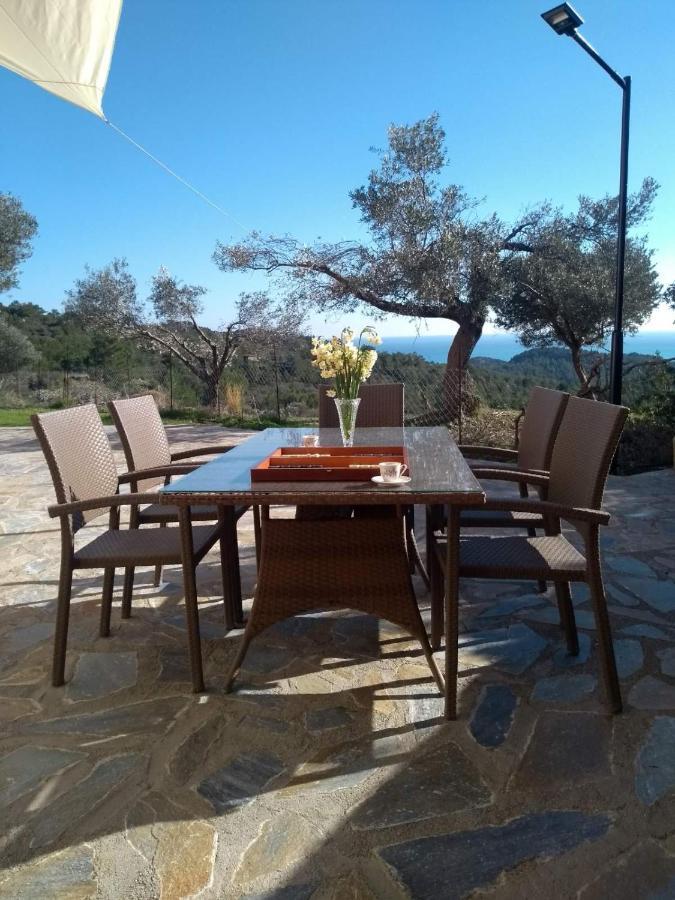 Cullura Apartament Asklipiion