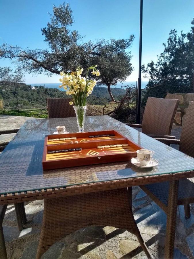 Apartament Cullura