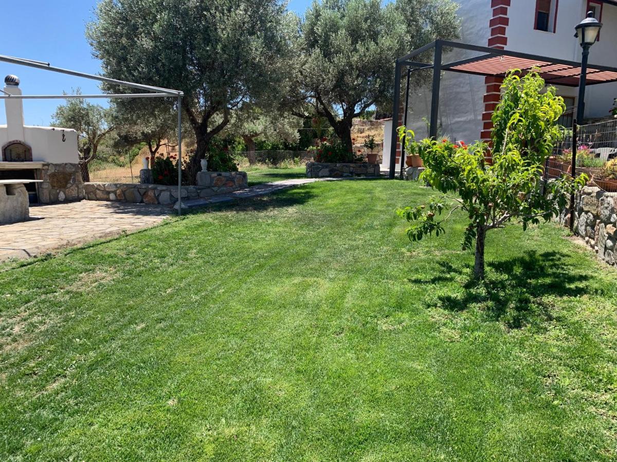 Apartament Cullura