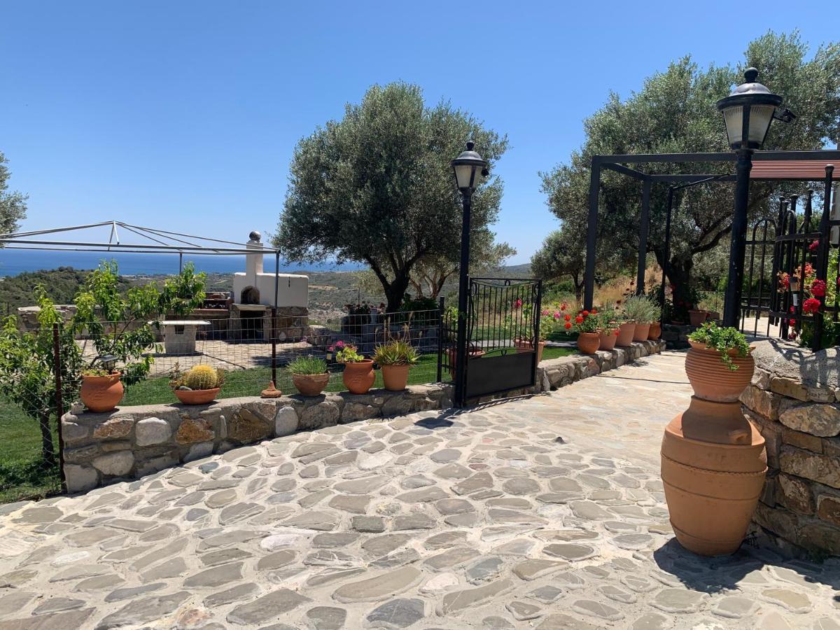 Cullura Apartament